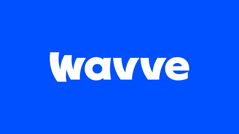 Wavve Tech Internship